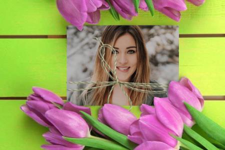 Purple tulips photo frame