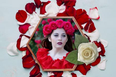 Photo Frame on rose petals