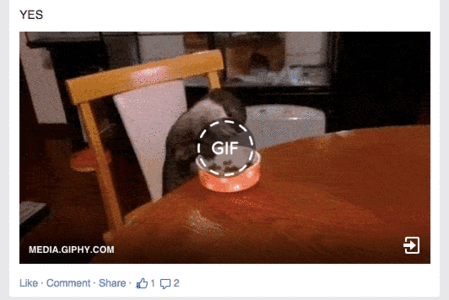 Guide to post GIF animation to Facebook